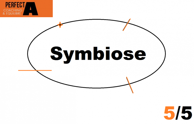 niveau 5 Symbiose PerfectA
